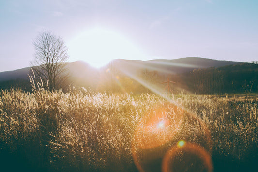 SUN GLOW